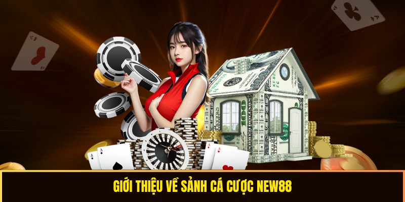 Giới thiệu về nhà cái NEW88